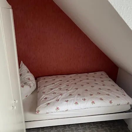 Daire Frischhuette *